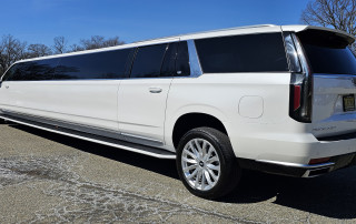 20250311_130702 Cadillac Escalade ESV