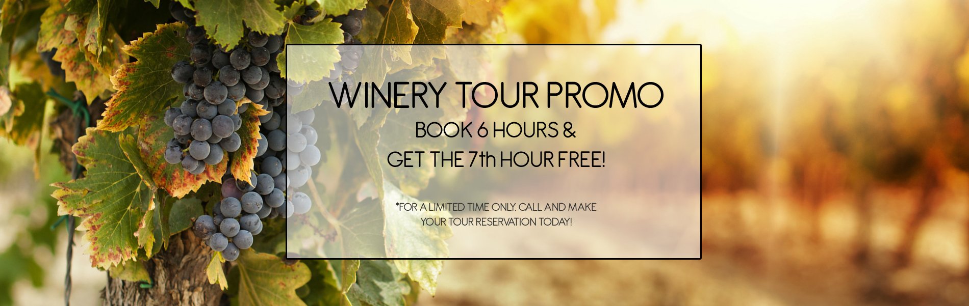 New Jersey Wine Tour Promo