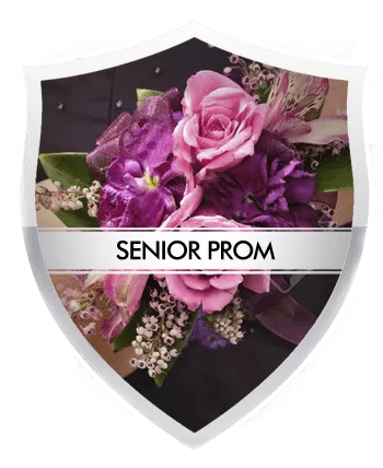 Prom Limousine Service Old Bridge Prom Limo Service
